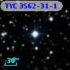 TYC 3562-31-1