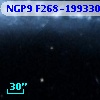 NGP9 F268-1993301