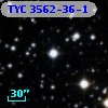 TYC 3562-36-1