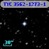 TYC 3562-1273-1