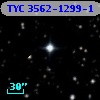 TYC 3562-1299-1