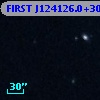 FIRST J124126.0+302336