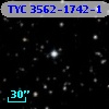 TYC 3562-1742-1