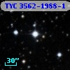 TYC 3562-1988-1