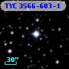 TYC 3566-603-1