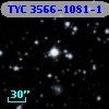 TYC 3566-1081-1