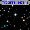 TYC 3566-1479-1