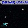 [DSL2000] 1239+288
