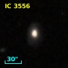 IC 3556