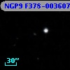 NGP9 F378-0036079