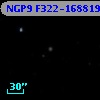 NGP9 F322-1688191
