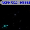 NGP9 F322-1689893