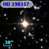 HD 190317