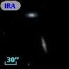 IRAS 12381+2647