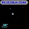 RX J1236.4+2544