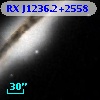 RX J1236.2+2558
