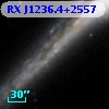 RX J1236.4+2557