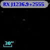 RX J1236.9+2555
