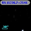 RX J1236.7+2541
