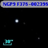 NGP9 F378-0023981