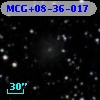 MCG+08-36-017