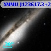 XMMU J123617.3+255951
