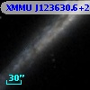 XMMU J123630.6+255650