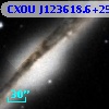 CXOU J123618.6+255935