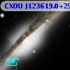 CXOU J123619.0+255932