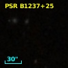 PSR B1237+25