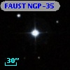 FAUST NGP-35