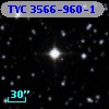 TYC 3566-960-1