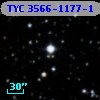 TYC 3566-1177-1