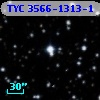 TYC 3566-1313-1