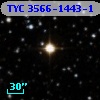 TYC 3566-1443-1