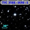 TYC 3566-1686-1