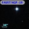 FAUST NGP-19