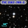 TYC 3567-709-1