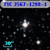 TYC 3567-1288-1