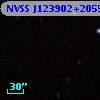 NVSS J123902+205542