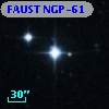 FAUST NGP-61