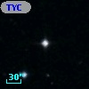 TYC 1446-126-1