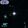 TYC 1446-1105-1