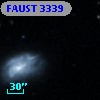 FAUST 3339