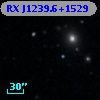 RX J1239.6+1529
