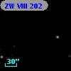 ZW VIII 202