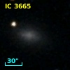 IC 3665