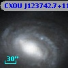 CXOU J123742.7+114945