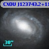 CXOU J123743.2+114912