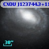 CXOU J123744.3+114834
